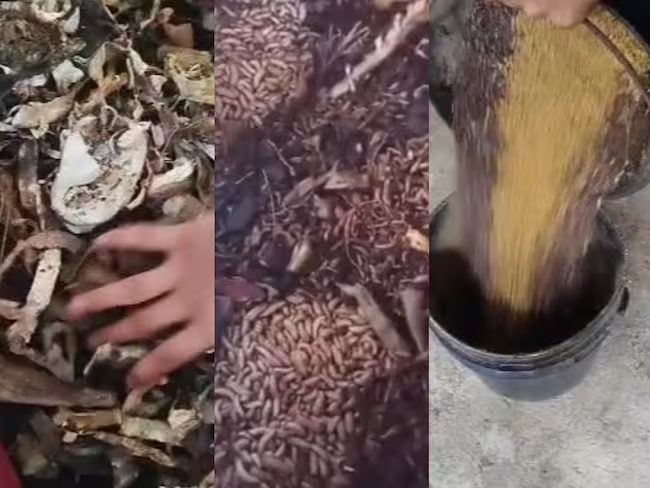 Lee más sobre el artículo Estudiantes de Sardinata buscan respaldo para representar a Colombia con innovador proyecto ambiental