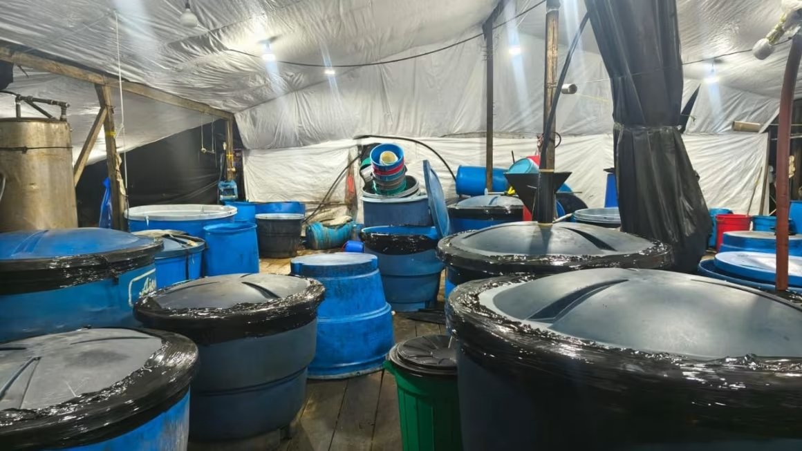 Lee más sobre el artículo Incautan toneladas de cocaína en El Tambo, Cauca
