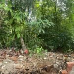 Emergencia: Se cayó un muro en colegio de Bucaramanga