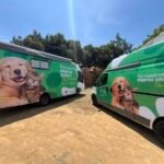 Animales maltratados y abandonados serán rescatados por patrulla especializada en Bucaramanga