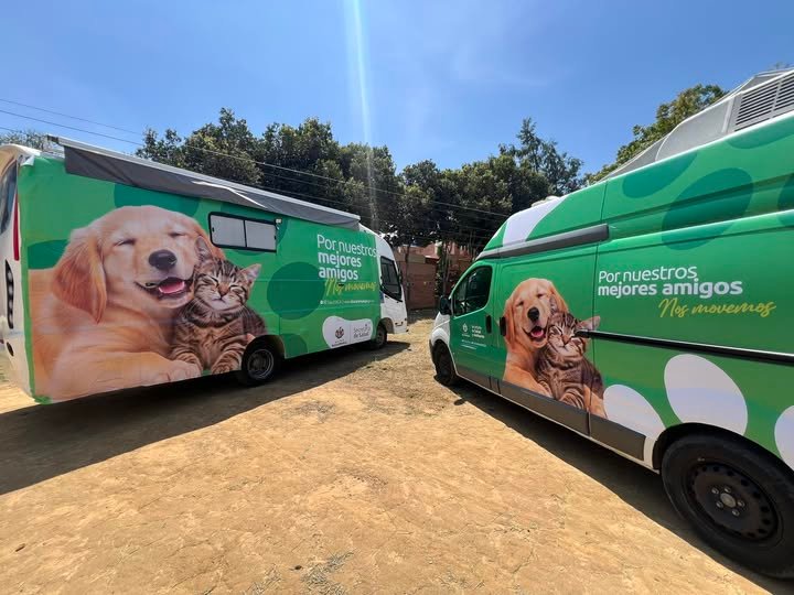 Lee más sobre el artículo Animales maltratados y abandonados serán rescatados por patrulla especializada en Bucaramanga