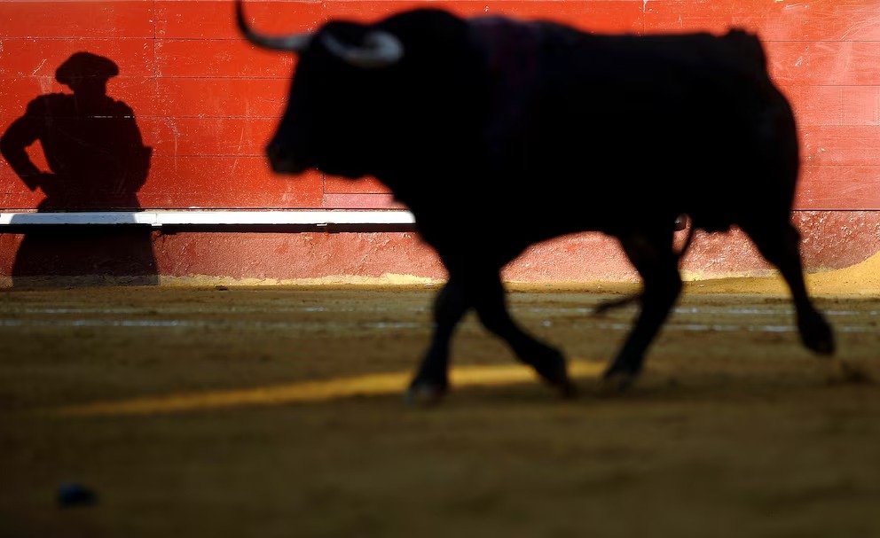 Lee más sobre el artículo Corte Constitucional deja en firme la ley que prohíbe las corridas de toros en Colombia