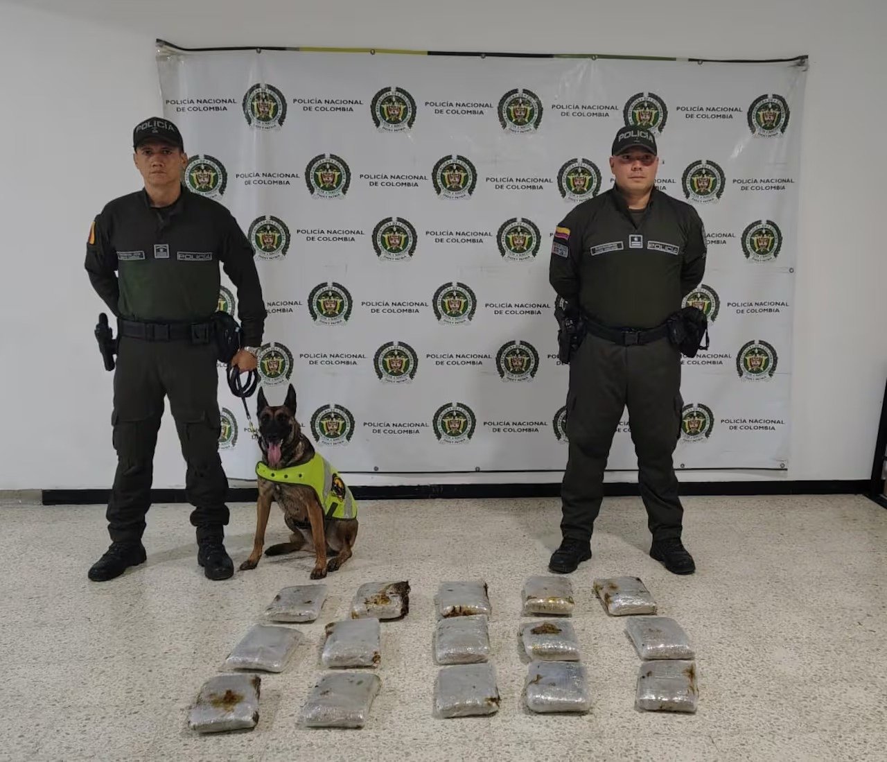 Lee más sobre el artículo Incautan 24 mil dosis de marihuana en empresa de mensajería en Palmira