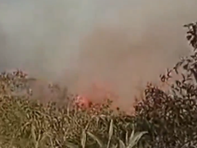 Lee más sobre el artículo Emergencia ambiental: incendio forestal afecta zona rural de Piedecuesta