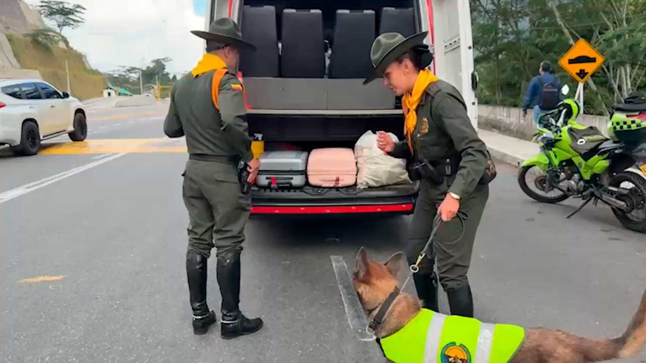 tráfico de fauna y flora en Semana Santa
