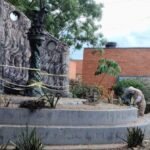 Ataque de abejas en Cúcuta deja 15 heridos en menos de 24 horas