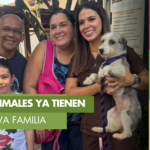 Once perros y gatos encontraron un hogar durante jornada de adopción en Bucaramanga