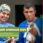 Más de 6.600 animales han recibido atención gratuita a través del Programa de Bienestar Animal en Santander