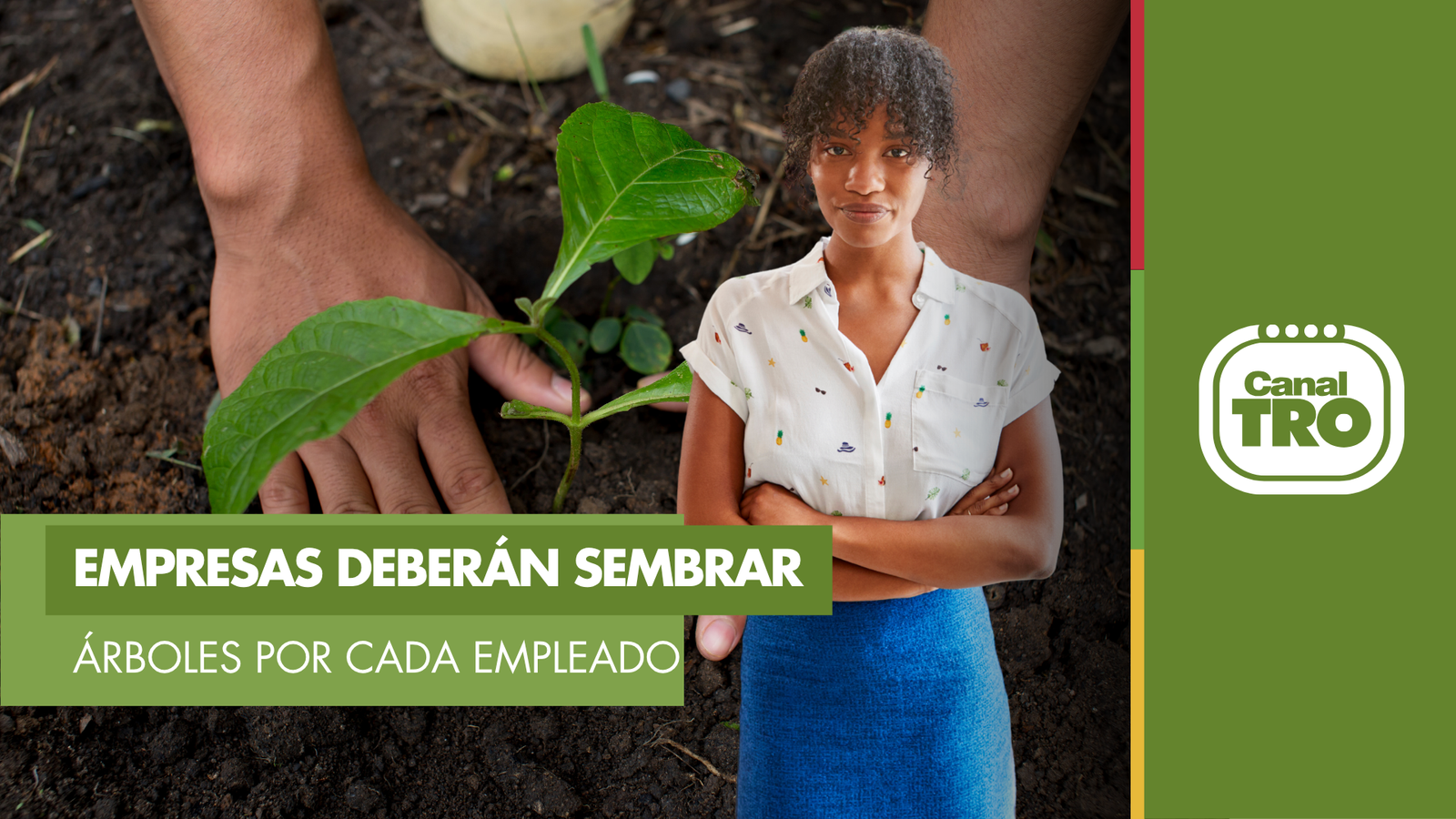 Lee más sobre el artículo Empresas en Colombia deberán sembrar dos árboles por cada empleado con contrato laboral